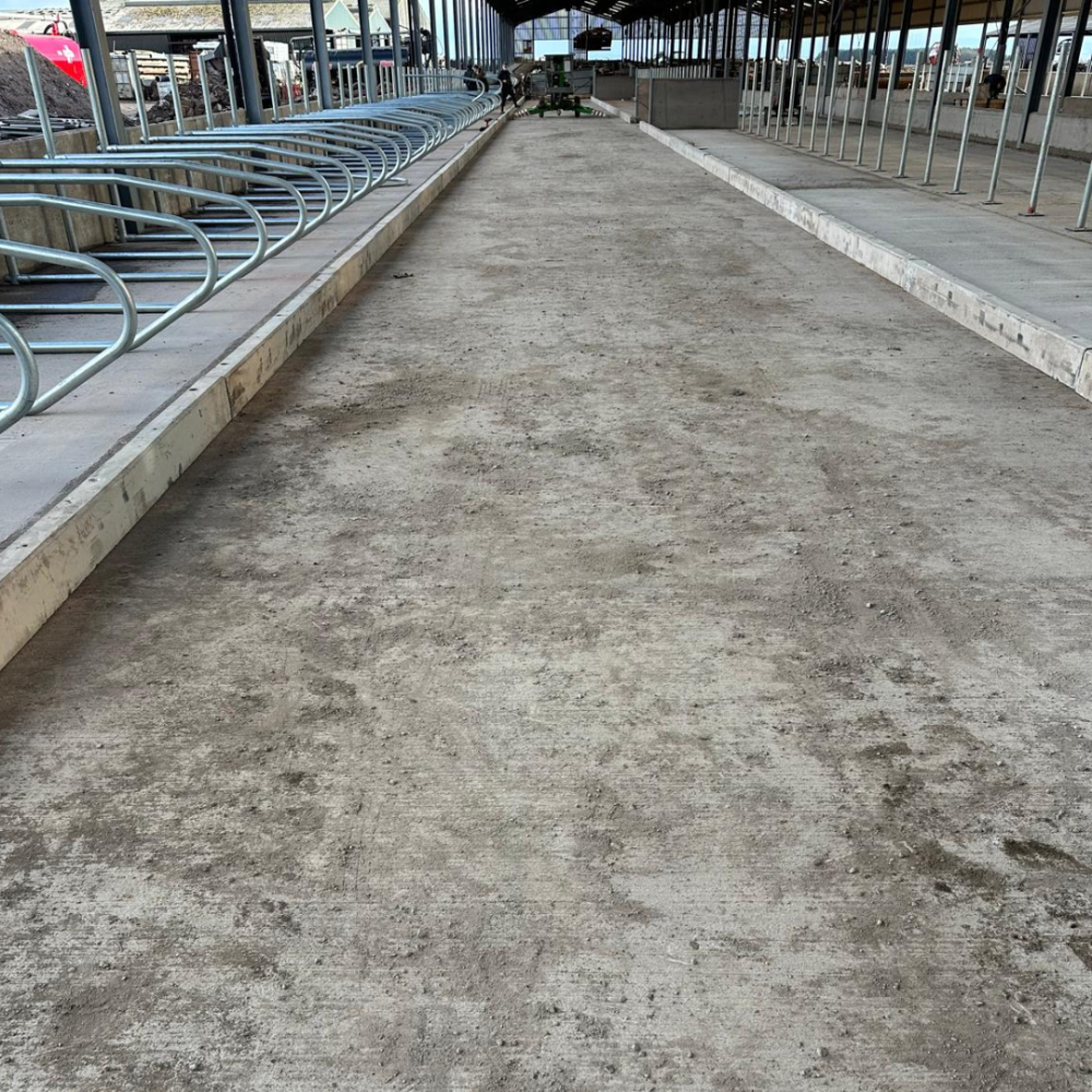 Cubicle kerbs separating cow cubicles from the main walkway