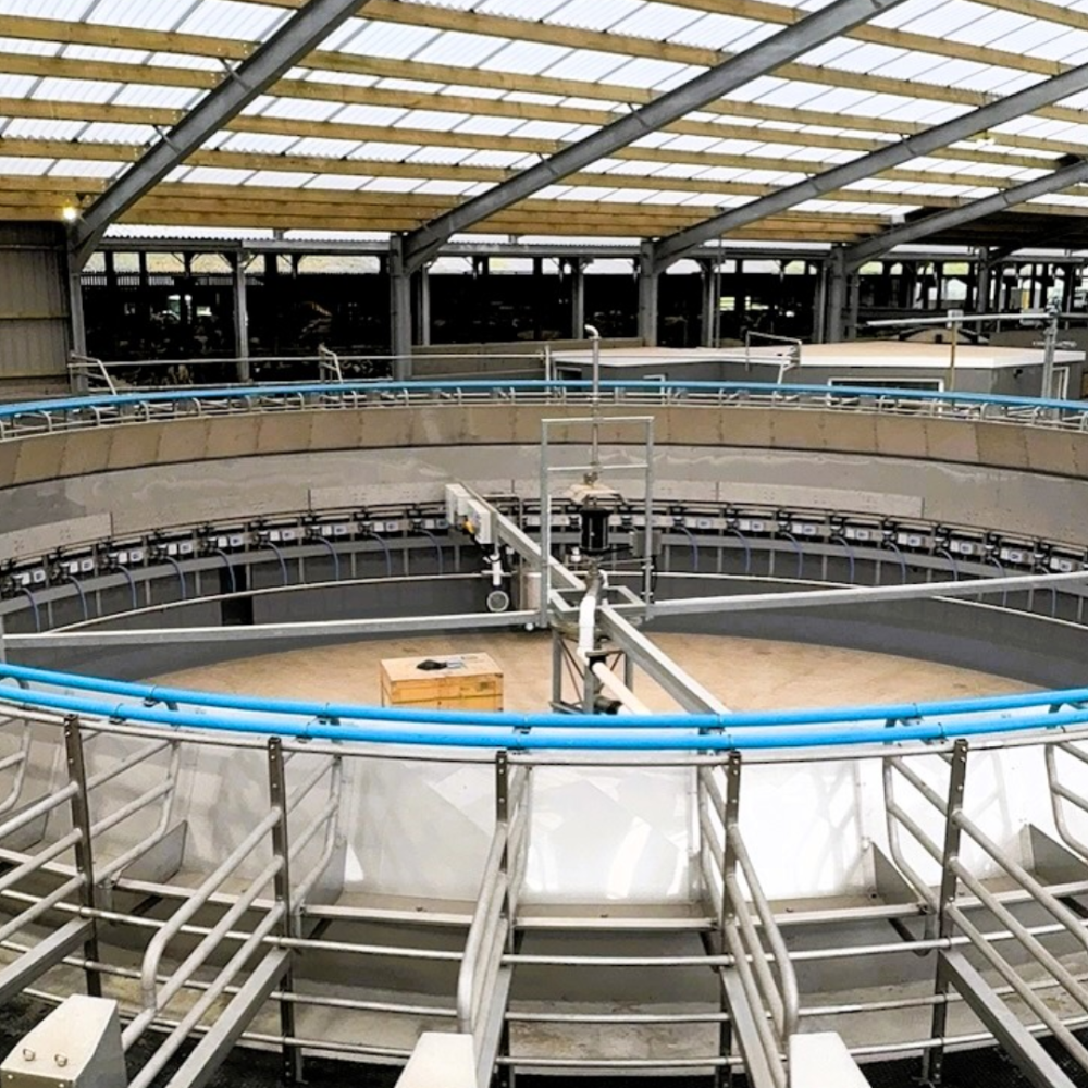 Example of CWP's precast rotary parlour walls used in a rotary parlour in Dumfries & Galloway.